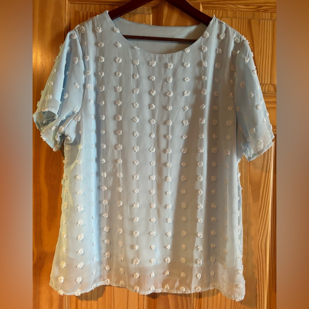 Baby blue blouse